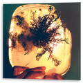 L'Rain - Fata Morgana | LP