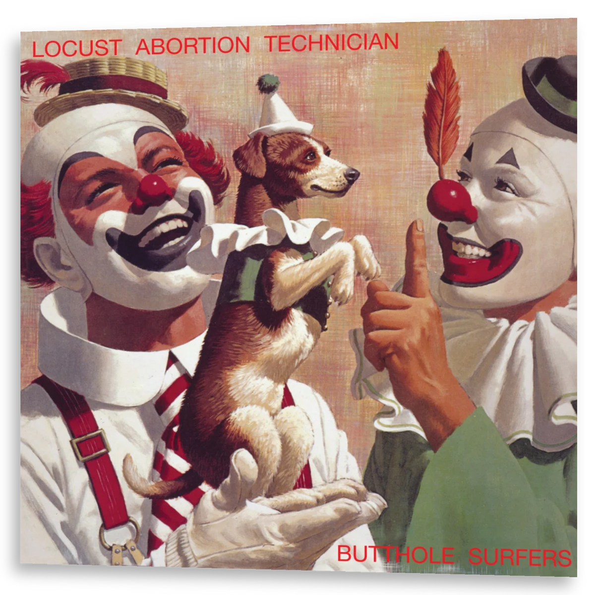 Butthole Surfers - Locust Abortion Technician | LP
