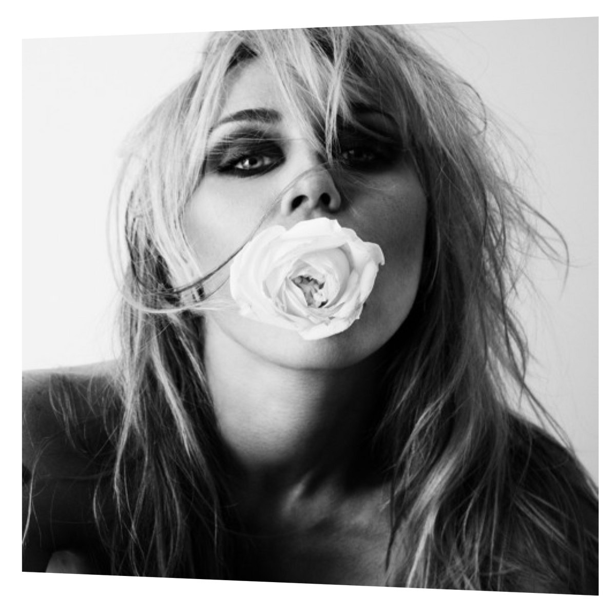 Miley - Bass Persuades | LP