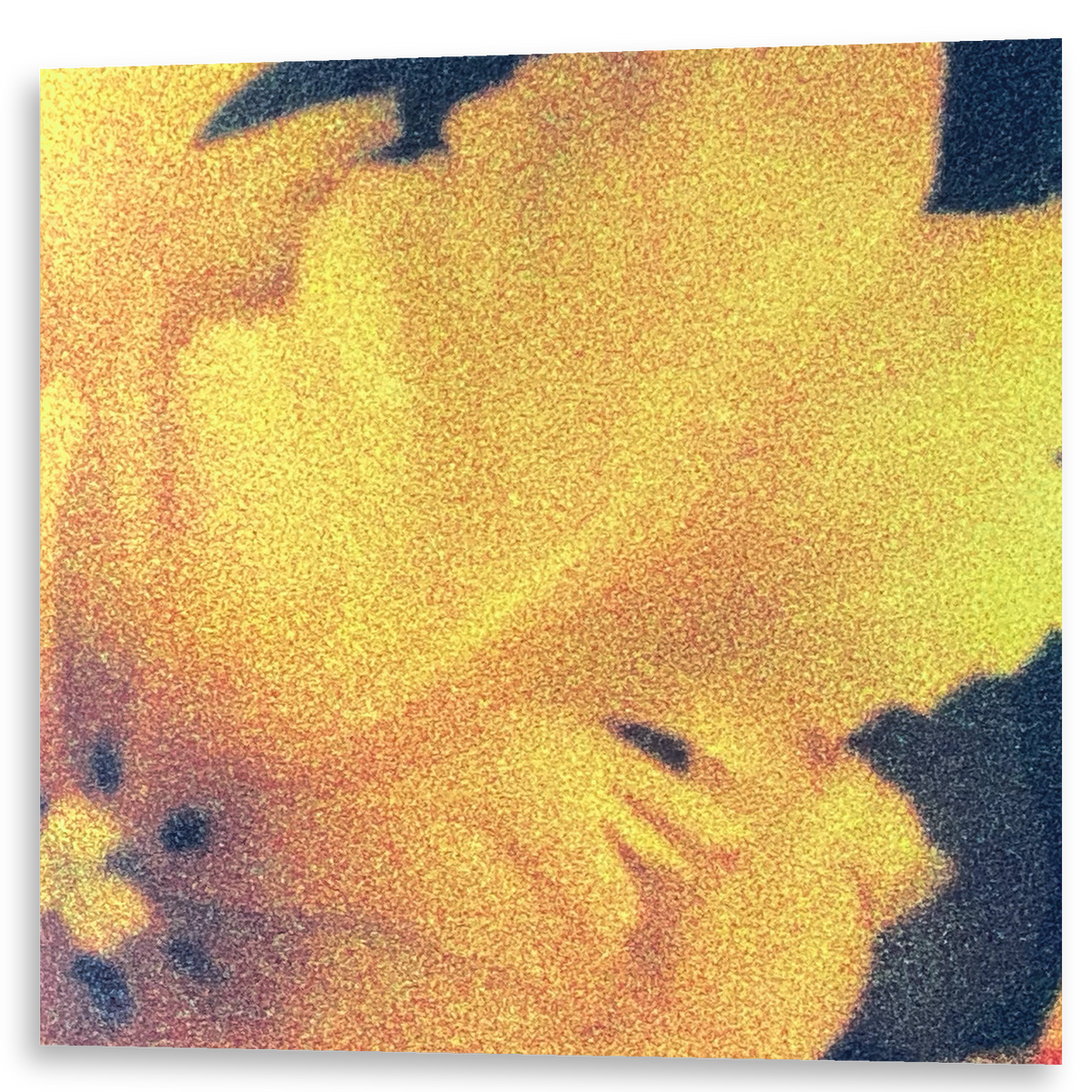 nthng - Last Light Of The Sun | 2LP