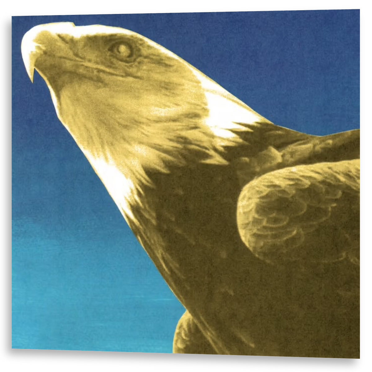 Protomartyr - Hotel Usona | LP