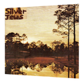 Silver Jews - Starlite Walker | LP