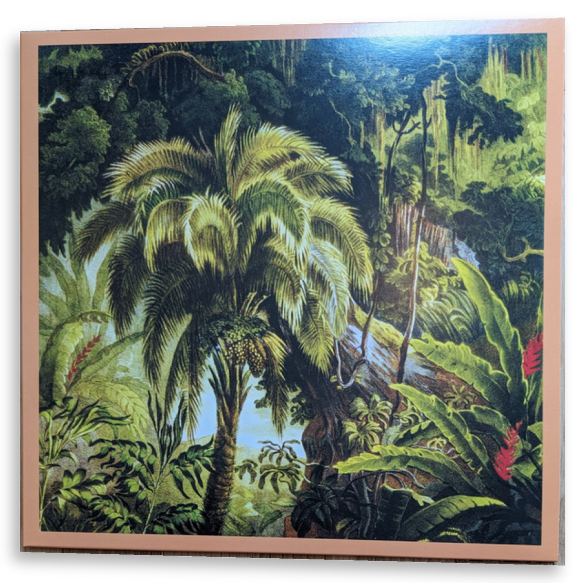 Xiu Xiu - La Foret | LP