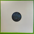 Theo Parrish - This Is For You | 12''