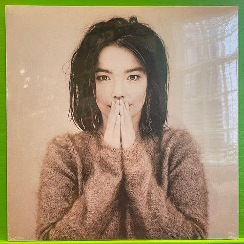 bjork debut