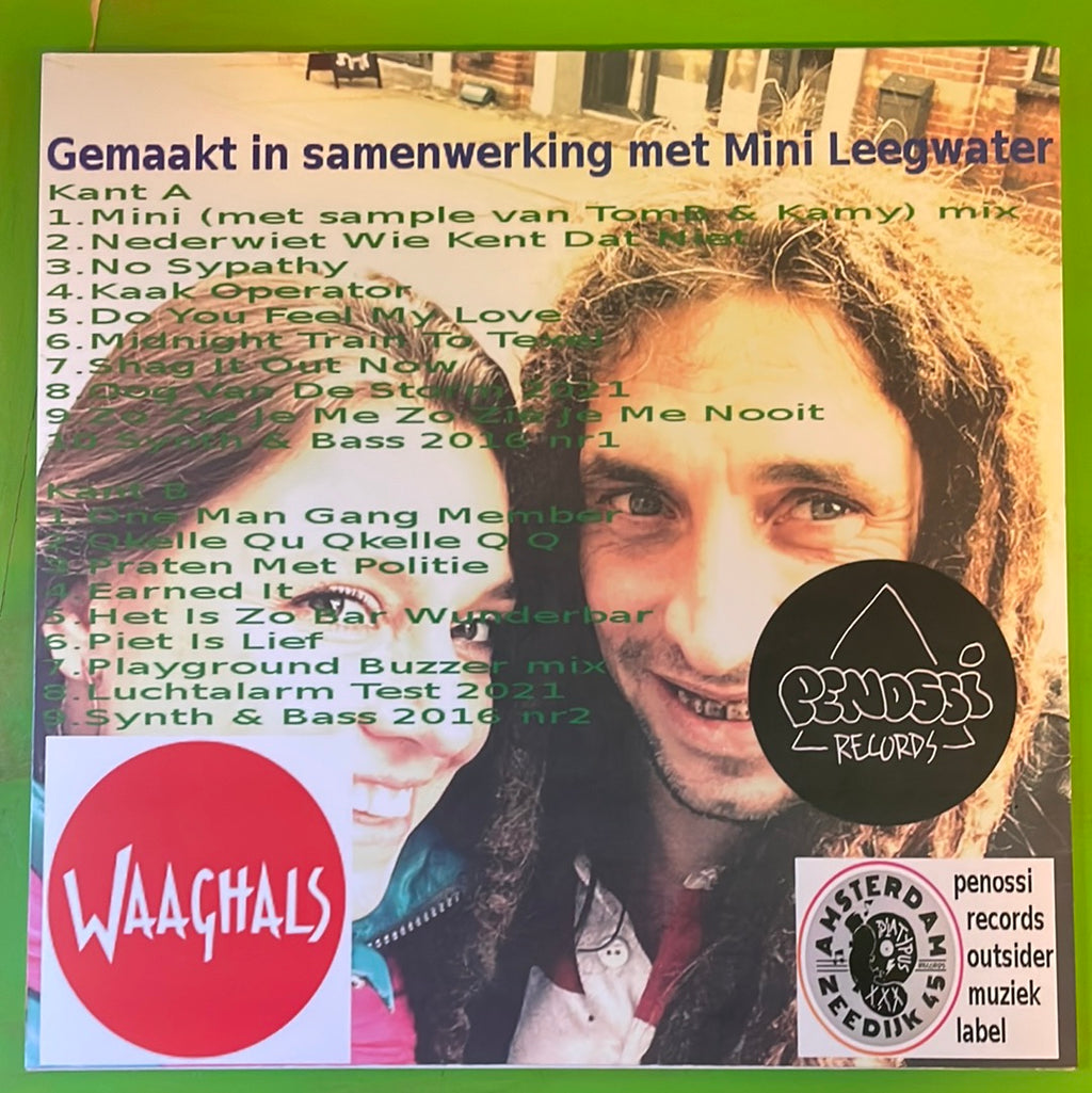 Piet Leegwater - Mini | LP