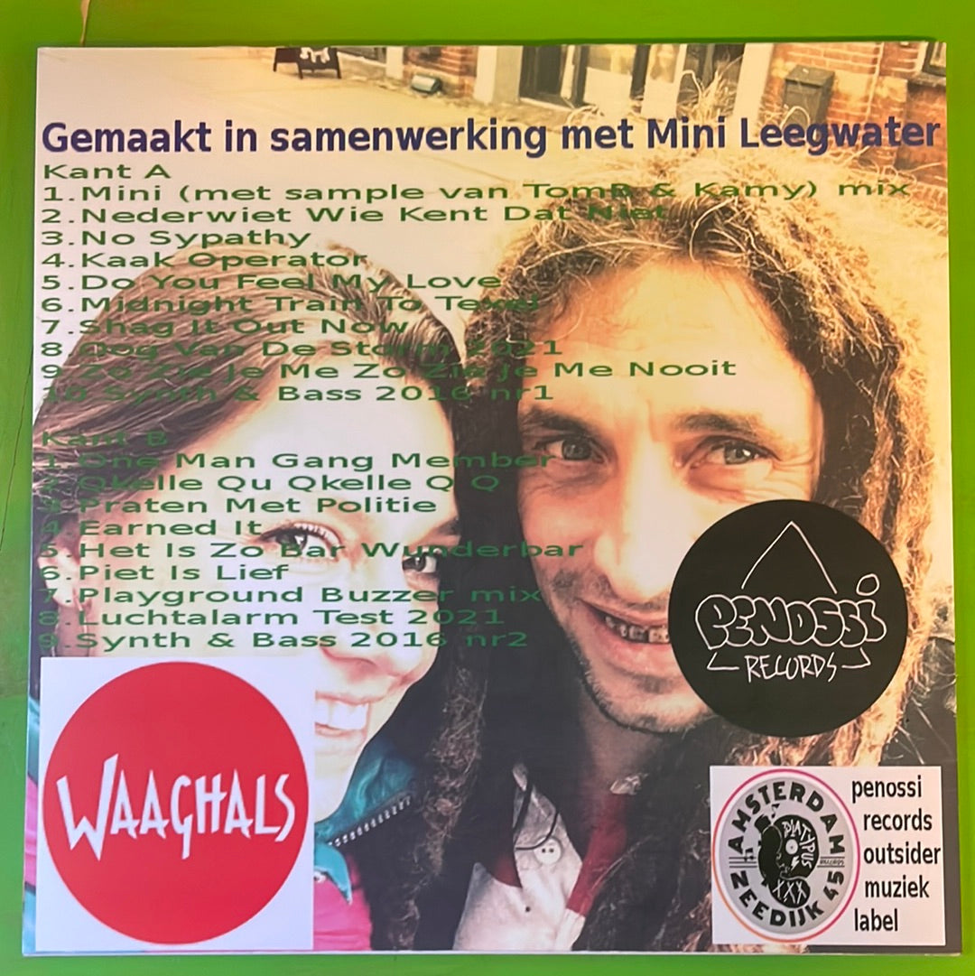 Piet Leegwater - Mini | LP