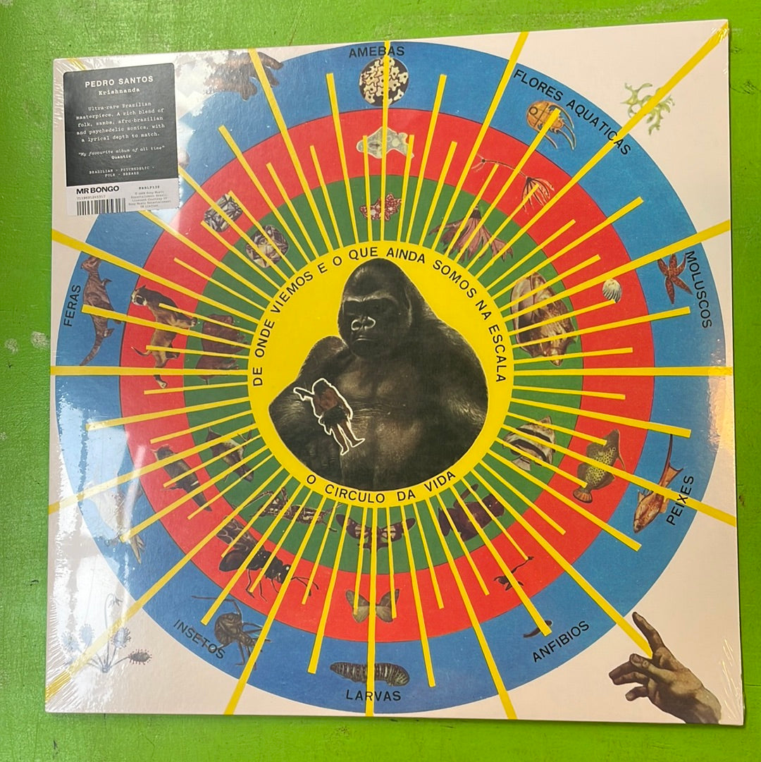 Pedro Santos - Krishnanda | LP