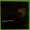 Nick Cave & The Bad Seeds - Skeleton Tree